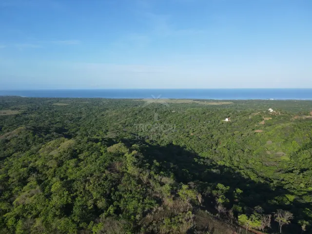 Santuario Natural en Venta Cerca de Playa Negra – Dos Lotes Titulados en Guanacaste