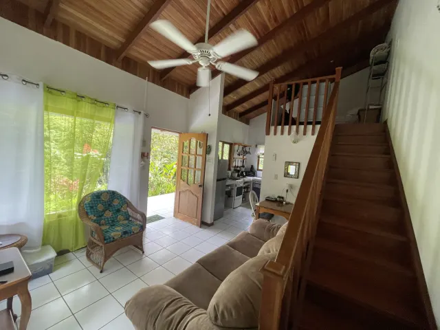 Propiedad de 26 hectareas con canopy tour, caballos, dos casas y plataformas planas listas para construir casas