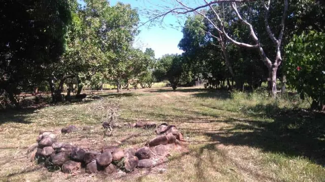 Quinta ideal para amantes de la naturaleza y caballos, cerca de playas