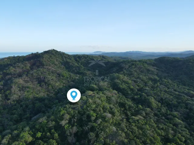 Santuario Natural en Venta Cerca de Playa Negra – Dos Lotes Titulados en Guanacaste