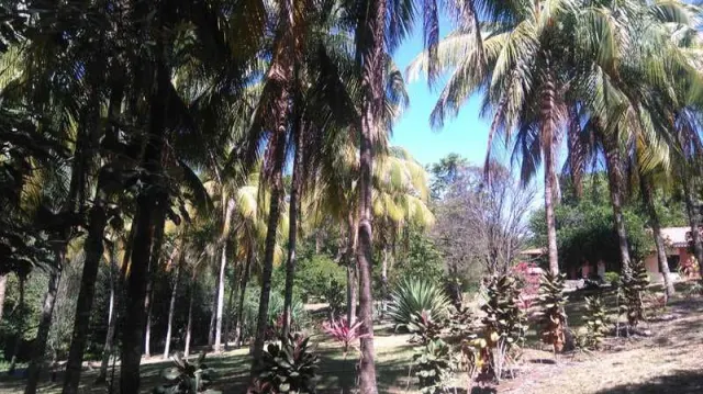 Quinta ideal para amantes de la naturaleza y caballos, cerca de playas