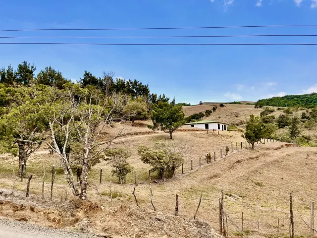 Lote en venta en San Ramon con 3100m2 de lote