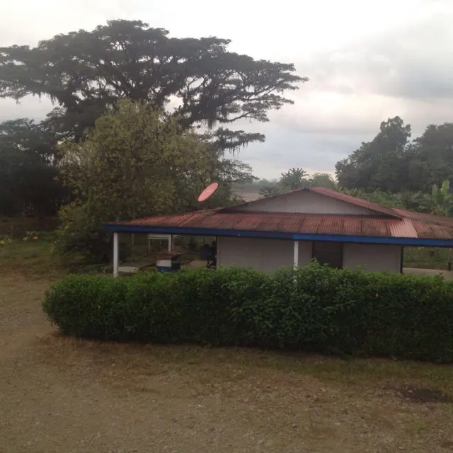 Finca ganadera para engorde y de palma de134 hectareas