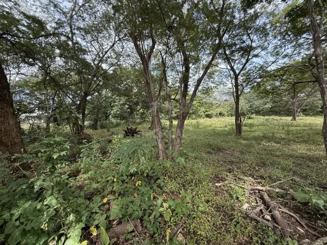 Lote en Villa Real cerca de Tamarindo plano