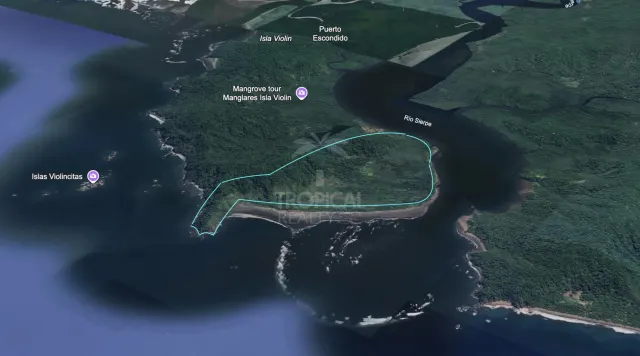 Isla en Venta en Sierpe, Osa – 259 Hectáreas de Naturaleza, Playas y Potencial de Desarrollo