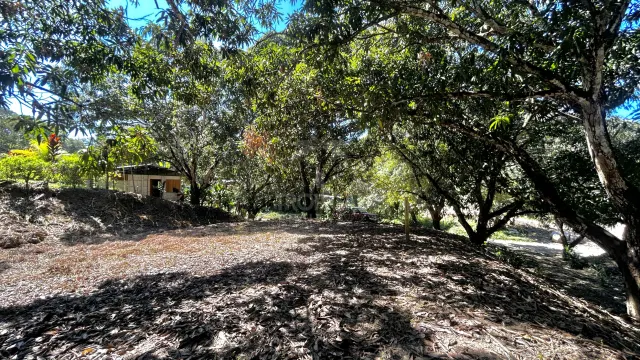 Lote Comercial Mixto en Venta – Alta Exposición en Playa Manzanillo