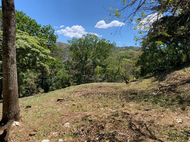Una vista de terreno inclinado y con pasto, rodeado de árboles y colinas verdes bajo un cielo azul con nubes ligeras.