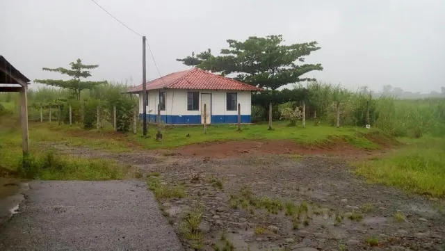 Finca ganadera para engorde y de palma de134 hectareas