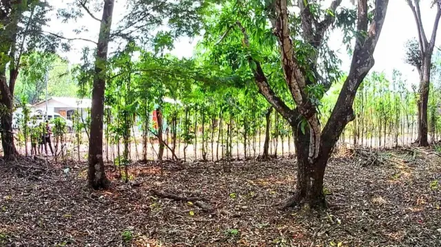 Lote Estratégico de 1.312 m² Frente a Ruta 27 – Orotina, Alajuela