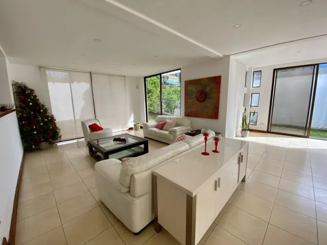 Sala iluminada con sofás de cuero blanco, una mesa de centro con cubierta de vidrio, una consola blanca y un árbol de Navidad decorado en la esquina.