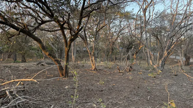 Lote en Venta Frente a Playa Lagartillo, Avellanas Guanacaste