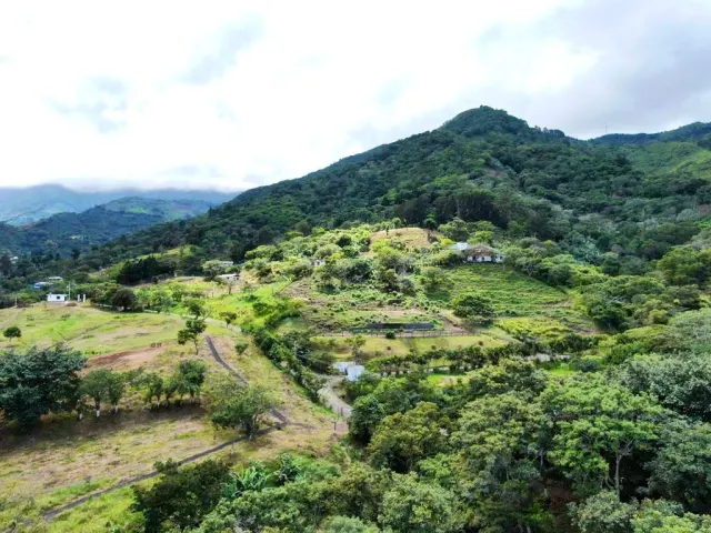 Finca de 7.2 hectareas en Santa Ana