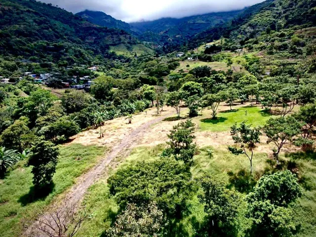 Finca de 7.2 hectareas en Santa Ana