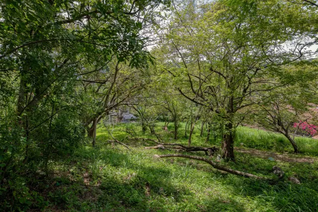 Venta de Lote Privado y Lujoso en Rio Oro, Santa Ana