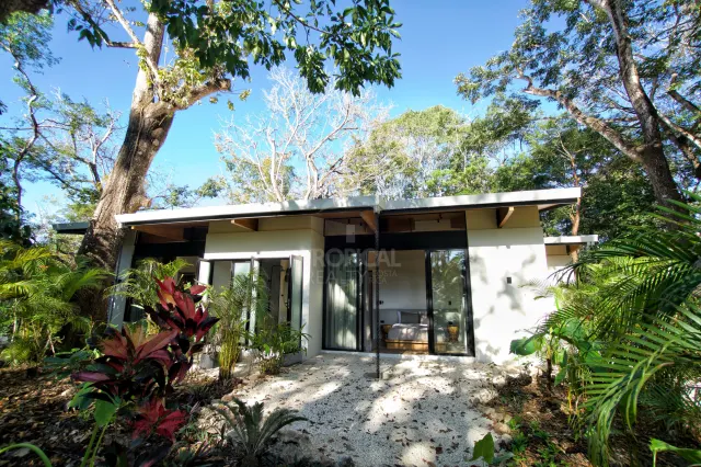 Villa de Lujo con Vista al Mar en Santa Teresa – 7,204 m² de Naturaleza y Privacidad
