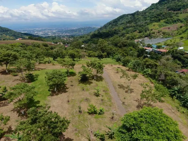 Finca de 7.2 hectareas en Santa Ana