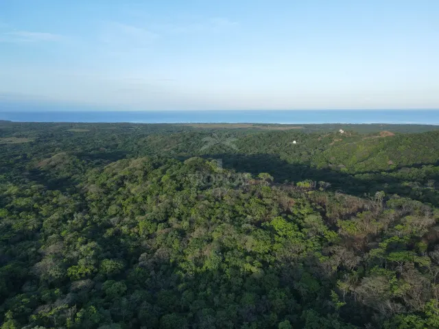 Santuario Natural en Venta Cerca de Playa Negra – Dos Lotes Titulados en Guanacaste