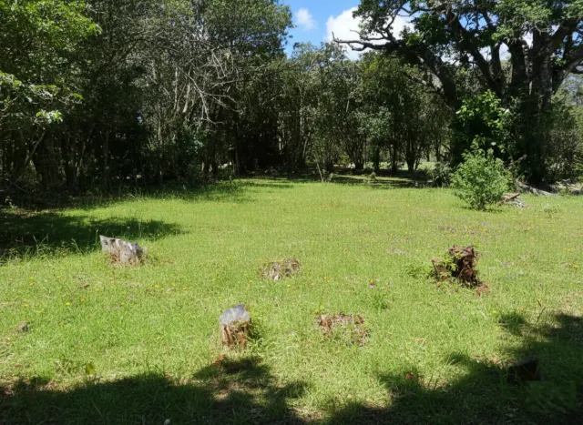 Lote en venta Monteverde Santa Elena