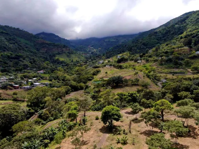 Finca de 7.2 hectareas en Santa Ana