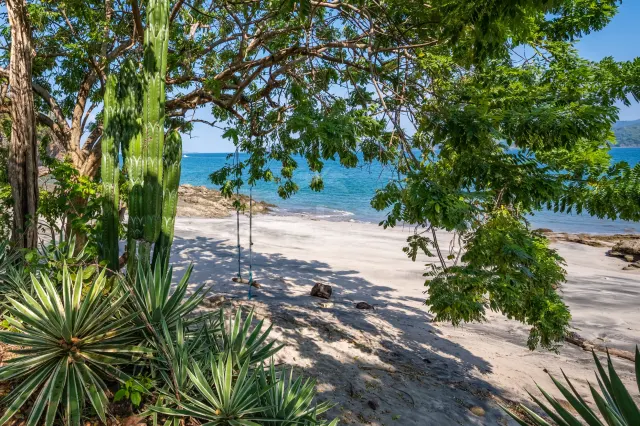 Apartamento frente al mar Falmingo