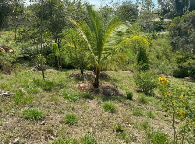 Lote en Comunidad Regenerativa en San Isidro – Naturaleza y Vida Consciente