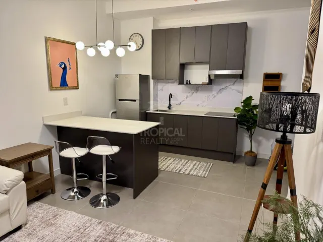 Penthouse moderno en Barrio Escalante – | Vida urbana con vista panorámica