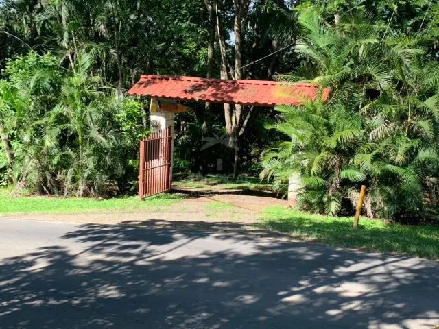 Portón metálico con estructura de entrada de tejas rojas rodeada de árboles densos y palmeras junto a una calle pavimentada.