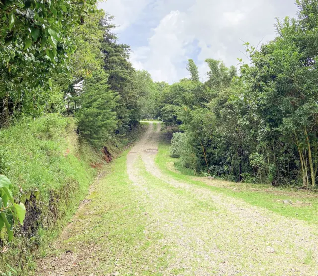 Lote en venta Monteverde Santa Elena