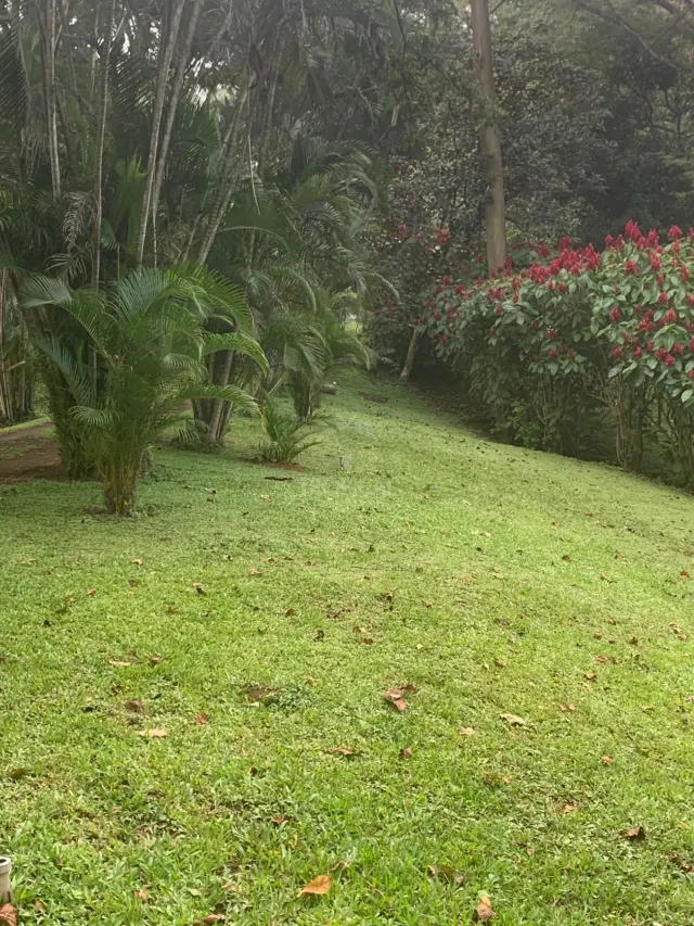 Finca en Venta en Turrúcares – Con Río, Piscinas y Alto Potencial Ecoturístico