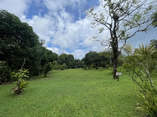 Propiedad de 26 hectareas con canopy tour, caballos, dos casas y plataformas planas listas para construir casas