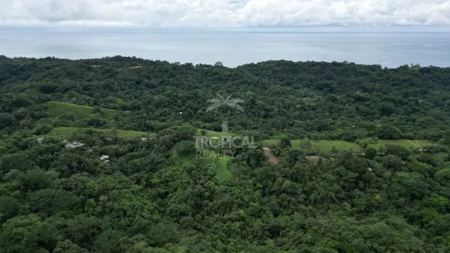 Lotes en Venta en Santiago: Tu Oportunidad de Inversión en Costa Rica
