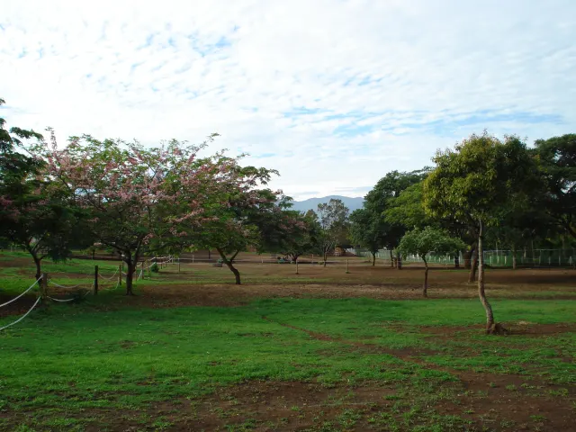 Lote comercial o residencial, para Hotel de Paso