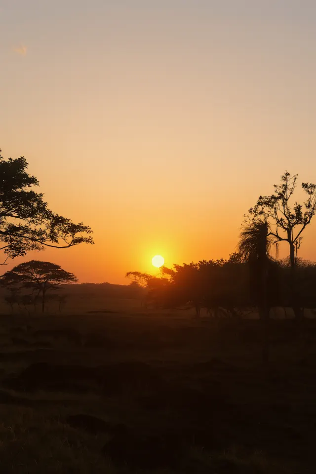 Propiedad agropecuaria de 4,461 ha con agua y alto potencial