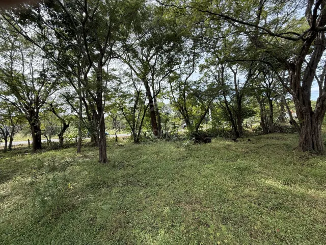 Lote en Villa Real cerca de Tamarindo plano