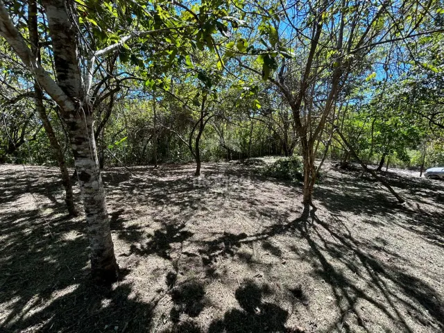 Lote en venta en Las Delicias de Cobano: Tu oasis costero en Costa Rica.