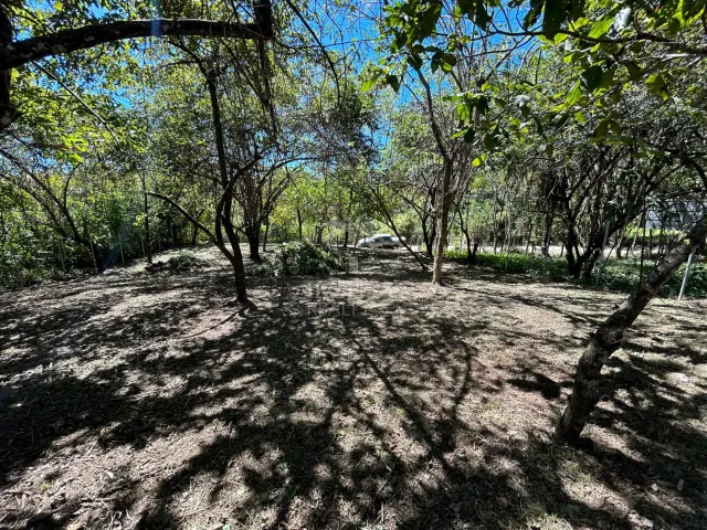 Lote en venta en Las Delicias de Cobano: Tu oasis costero en Costa Rica.