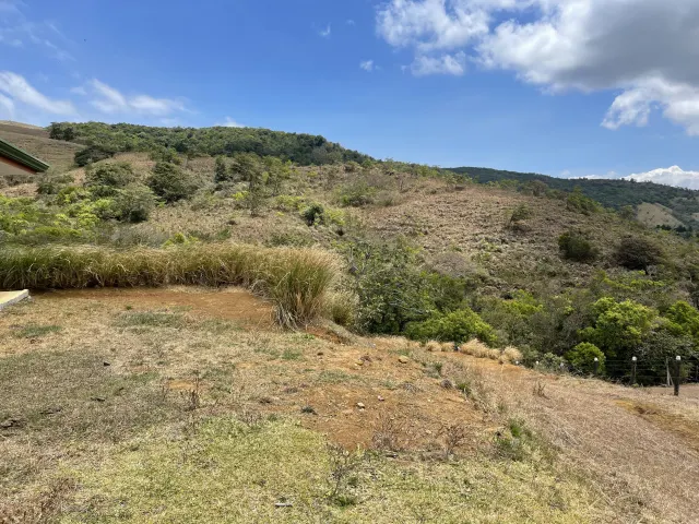 Lote en venta en San Ramon con 3100m2 de lote