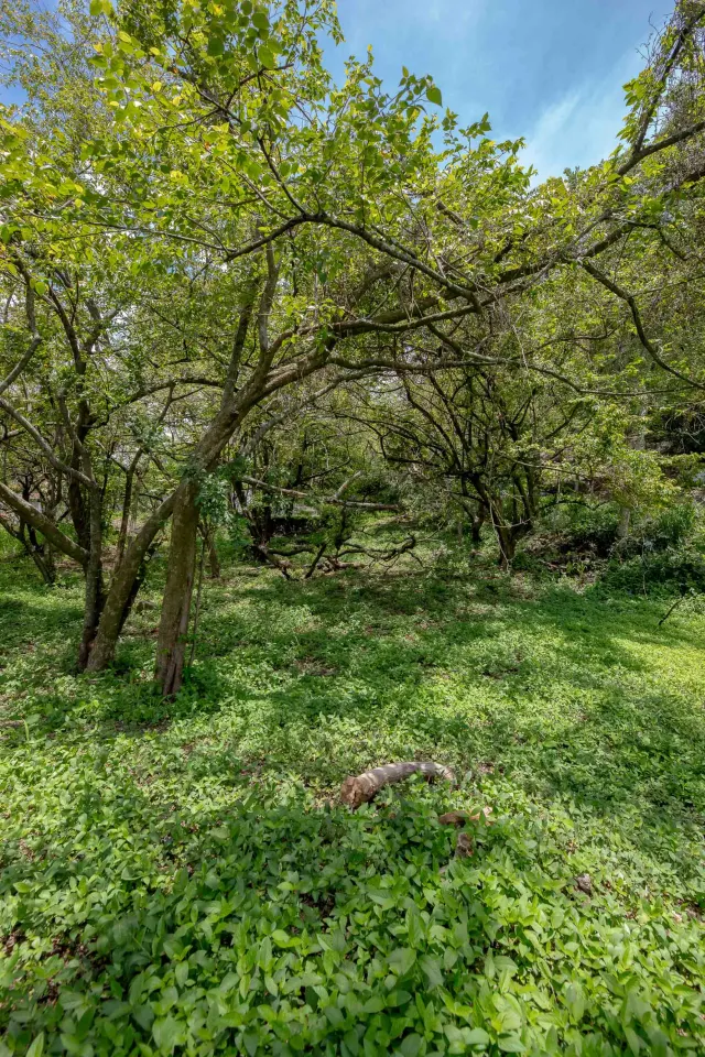 Venta de Lote Privado y Lujoso en Rio Oro, Santa Ana