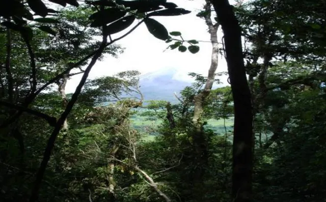 Propiedad Exclusiva en Arenal, Costa Rica – 20.3 Hectáreas con Vista al Volcán y al Lago