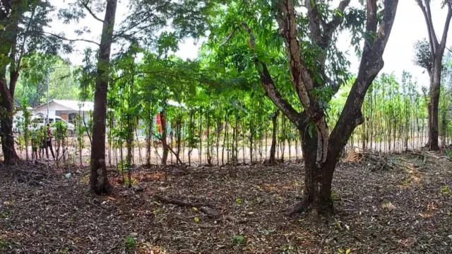 Lote Estratégico de 1.312 m² Frente a Ruta 27 – Orotina, Alajuela