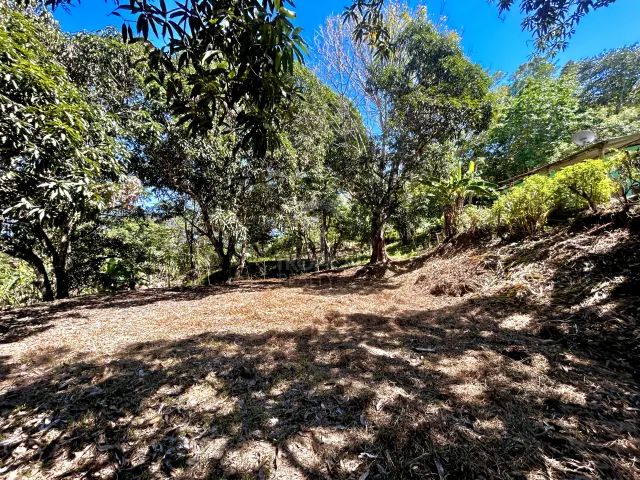 Lote Comercial Mixto en Venta – Alta Exposición en Playa Manzanillo