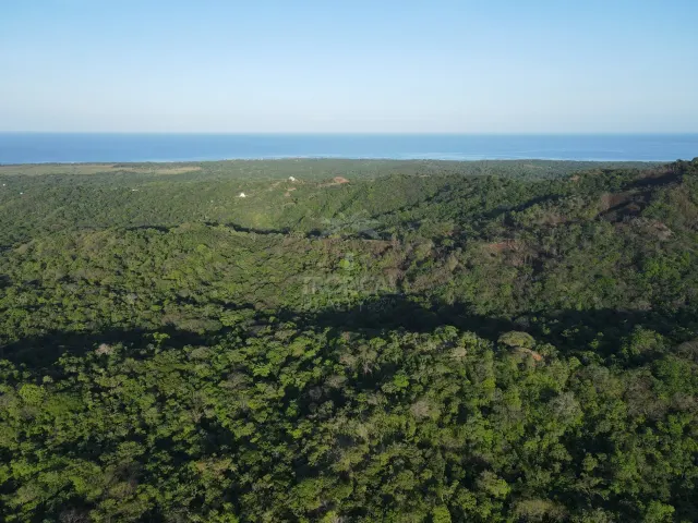 Santuario Natural en Venta Cerca de Playa Negra – Dos Lotes Titulados en Guanacaste
