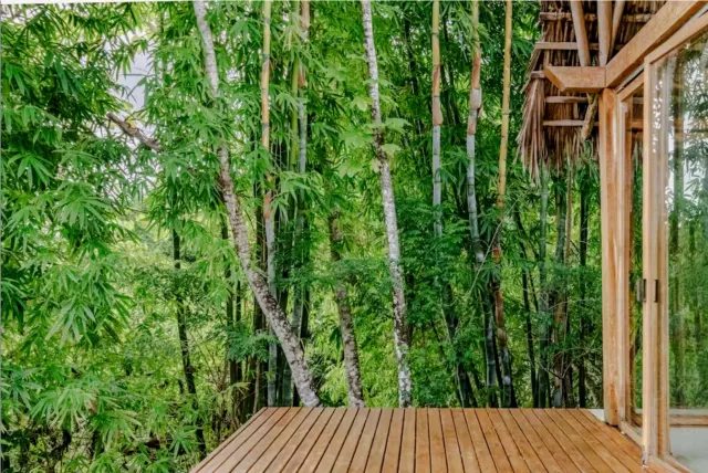 Villa de Lujo con Vista al Océano en Santa Teresa – Privacidad, Naturaleza y Potencial de Inversión