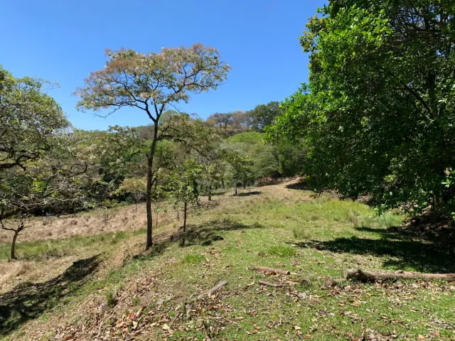 Finca en Venta en Turrúcares – Con Río, Piscinas y Alto Potencial Ecoturístico