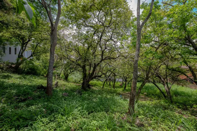 Venta de Lote Privado y Lujoso en Rio Oro, Santa Ana