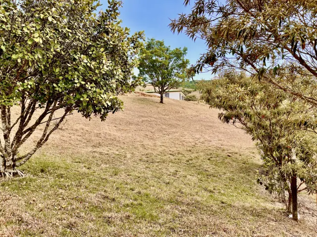 Lote en venta en San Ramon con 3100m2 de lote