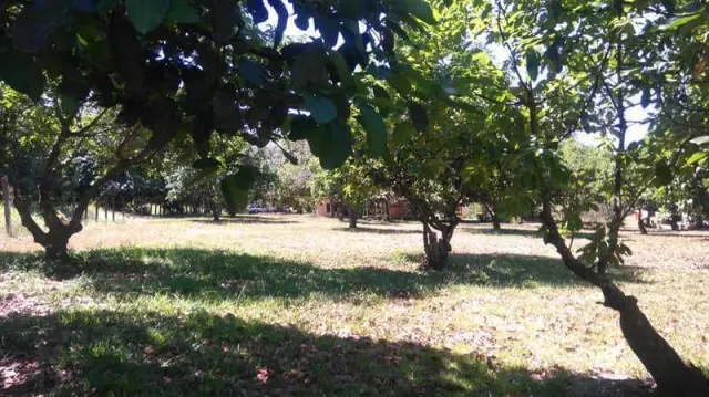 Quinta ideal para amantes de la naturaleza y caballos, cerca de playas