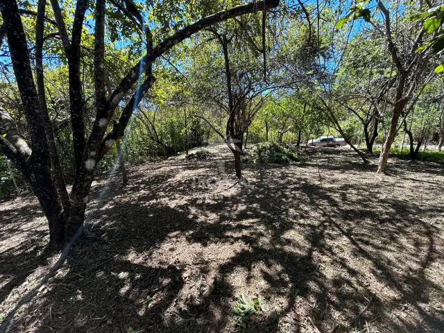 Lote en venta en Las Delicias de Cobano: Tu oasis costero en Costa Rica.