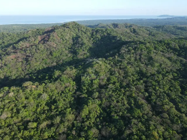 Santuario Natural en Venta Cerca de Playa Negra – Dos Lotes Titulados en Guanacaste