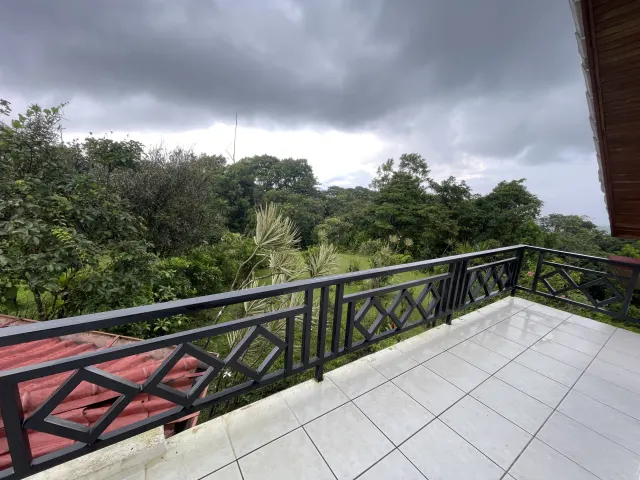 Propiedad de 26 hectareas con canopy tour, caballos, dos casas y plataformas planas listas para construir casas